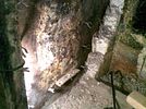 Boiler bricks repairing 