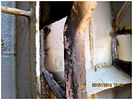 Cargo hole steel renewal work